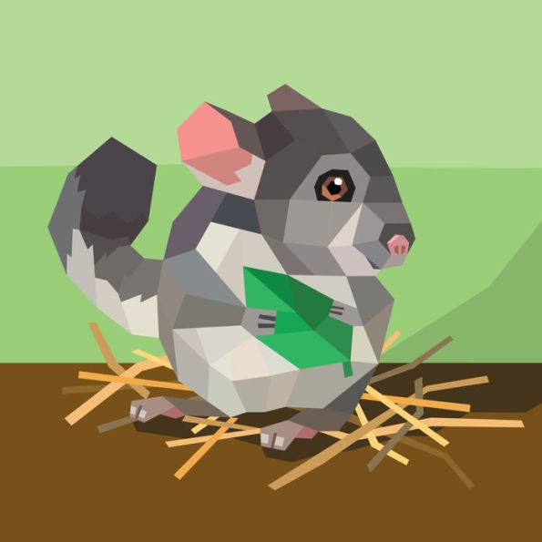 Paint by Sticker Kids: Pets: Create 10 Pictures One Sticker at a Time!(E-B00KS) DIGITAL BOOK