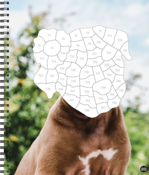 Brain Games Sticker by Number Dog Gone It(E-B00KS) DIGITAL BOOK