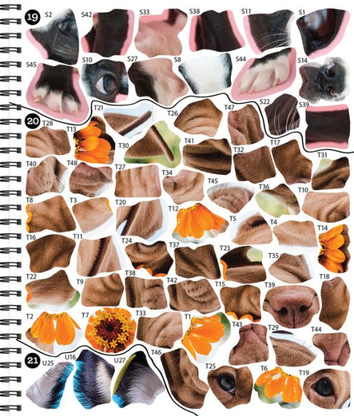 Brain Games Sticker by Number Dog Gone It(E-B00KS) DIGITAL BOOK