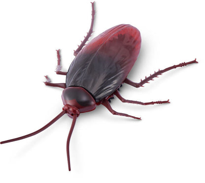 Robo Alive Crawling Cockroach Glow in the Dark Robotic Toy by ZURU(E-B00KS) DIGITAL BOOK