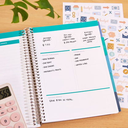 A5 Budget Planner by Erin Condren, Silver/Coiled Circle Geometric(E-B00KS) DIGITAL BOOK