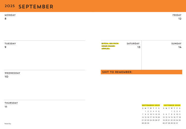 2025-2026 Carpe F*cking Diem Planner(E-B00KS) DIGITAL BOOK