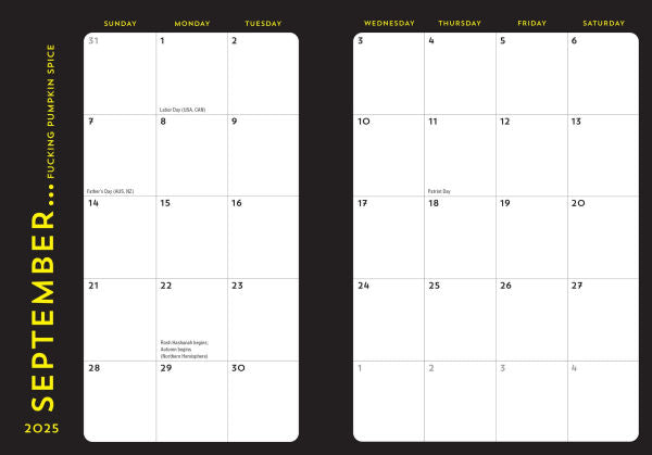 2025-2026 Carpe F*cking Diem Planner(E-B00KS) DIGITAL BOOK