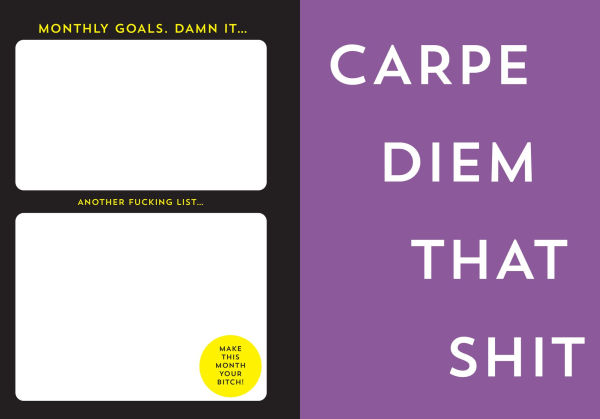 2025-2026 Carpe F*cking Diem Planner(E-B00KS) DIGITAL BOOK