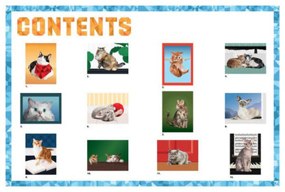 Paint by Sticker: Cats (Paint by Sticker Series)