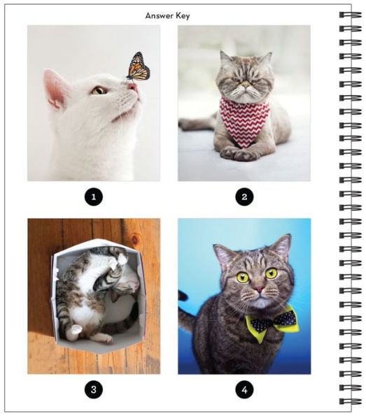 Sticker By Number Cat-itude(E-B00KS) DIGITAL BOOK