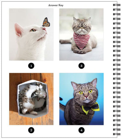 Sticker By Number Cat-itude(E-B00KS) DIGITAL BOOK