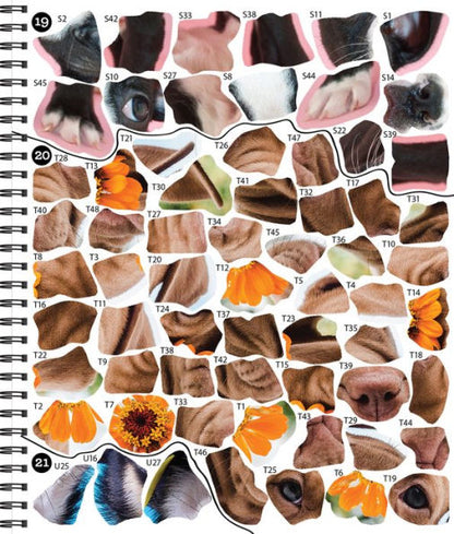 Brain Games Sticker by Number Dog Gone It(E-B00KS) DIGITAL BOOK