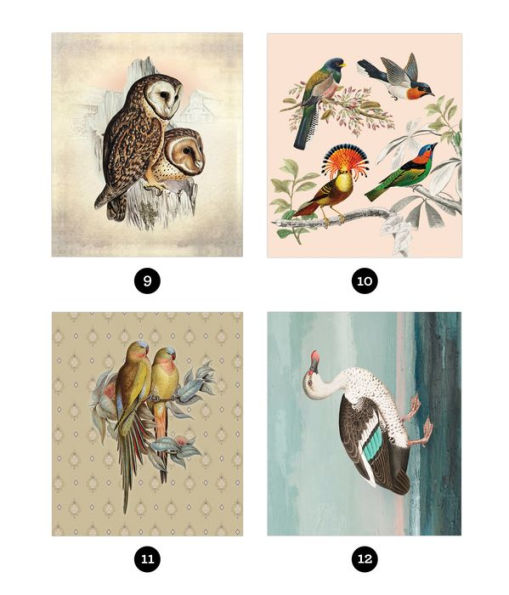 Brain Games Sticker By Number Vintage Birds(E-B00KS) DIGITAL BOOK