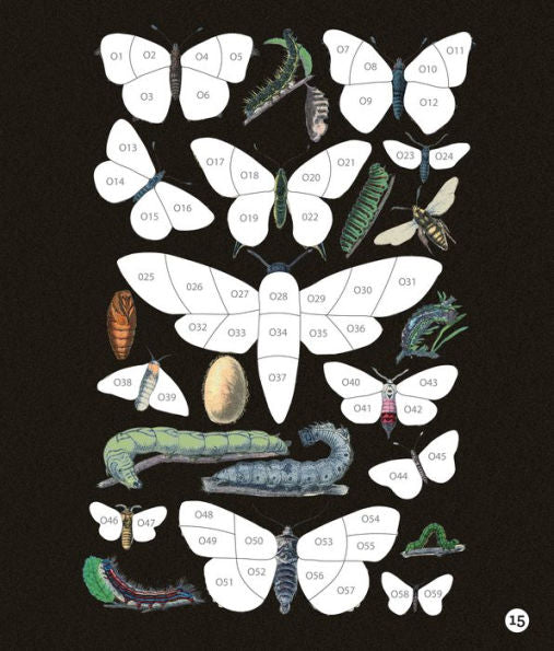 Brain Games Sticker By Number Vintage Butterflies(E-B00KS) DIGITAL BOOK