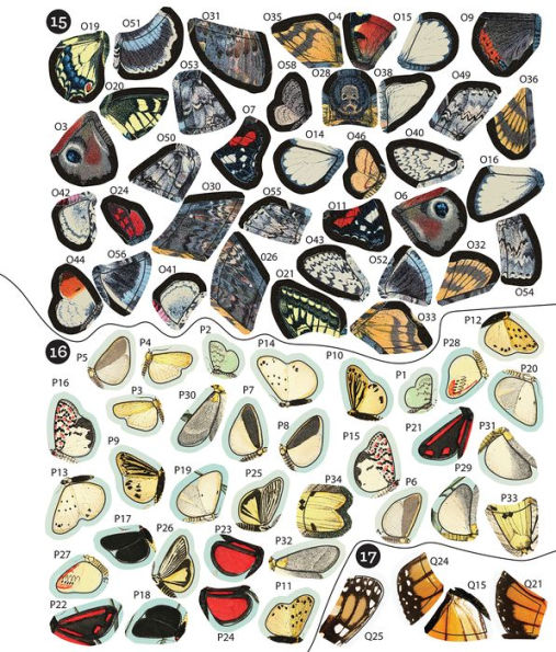 Brain Games Sticker By Number Vintage Butterflies(E-B00KS) DIGITAL BOOK