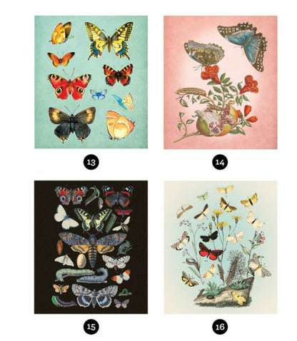 Brain Games Sticker By Number Vintage Butterflies(E-B00KS) DIGITAL BOOK