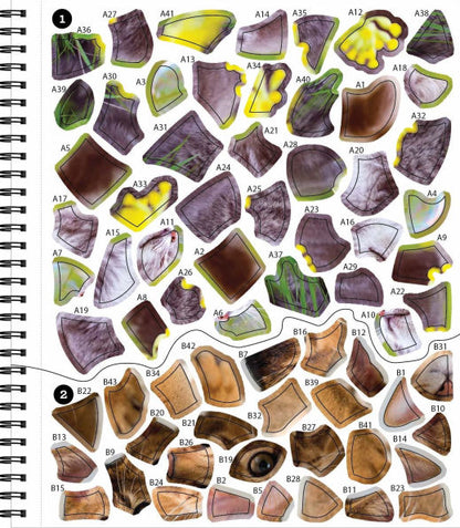 Sticker By Number All You Need is Cats(E-B00KS) DIGITAL BOOK