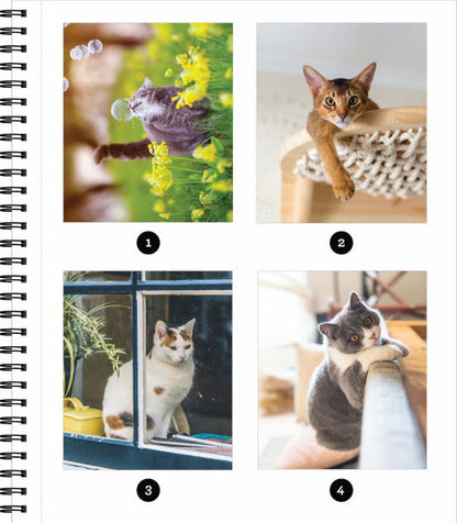 Sticker By Number All You Need is Cats(E-B00KS) DIGITAL BOOK