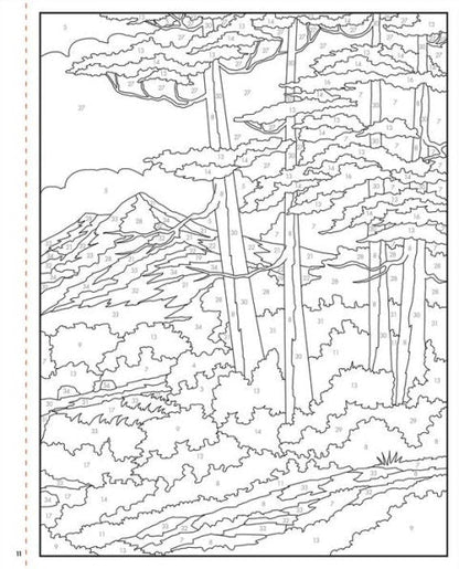 Bob Ross Color-by-Number