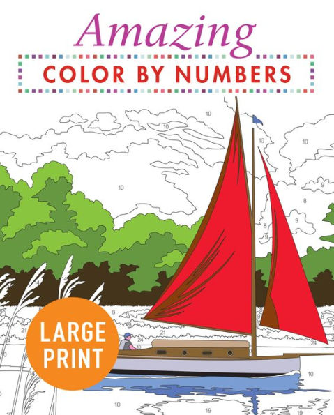 Amazing Color by Numbers Large Print(E-B00KS) DIGITAL BOOK