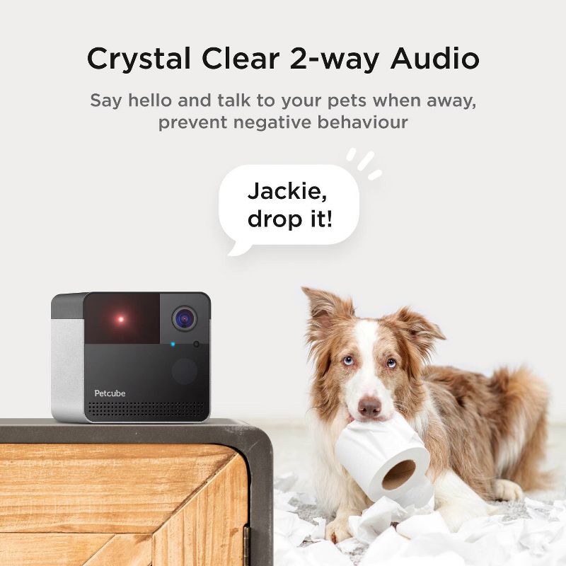 Petcube Play 2 Wi-Fi Pet Camera with Laser Toy for Cats & Dogs